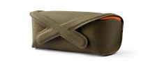 case_green_lg